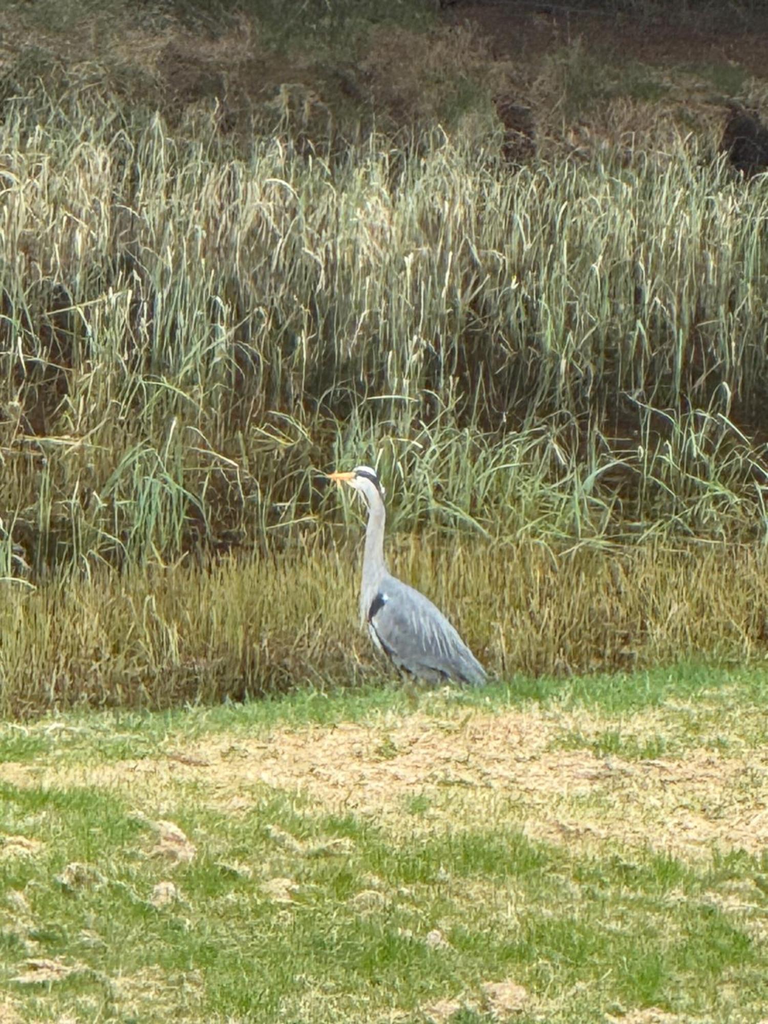 Willowbarn Rafford Self Catering Forres Esterno foto