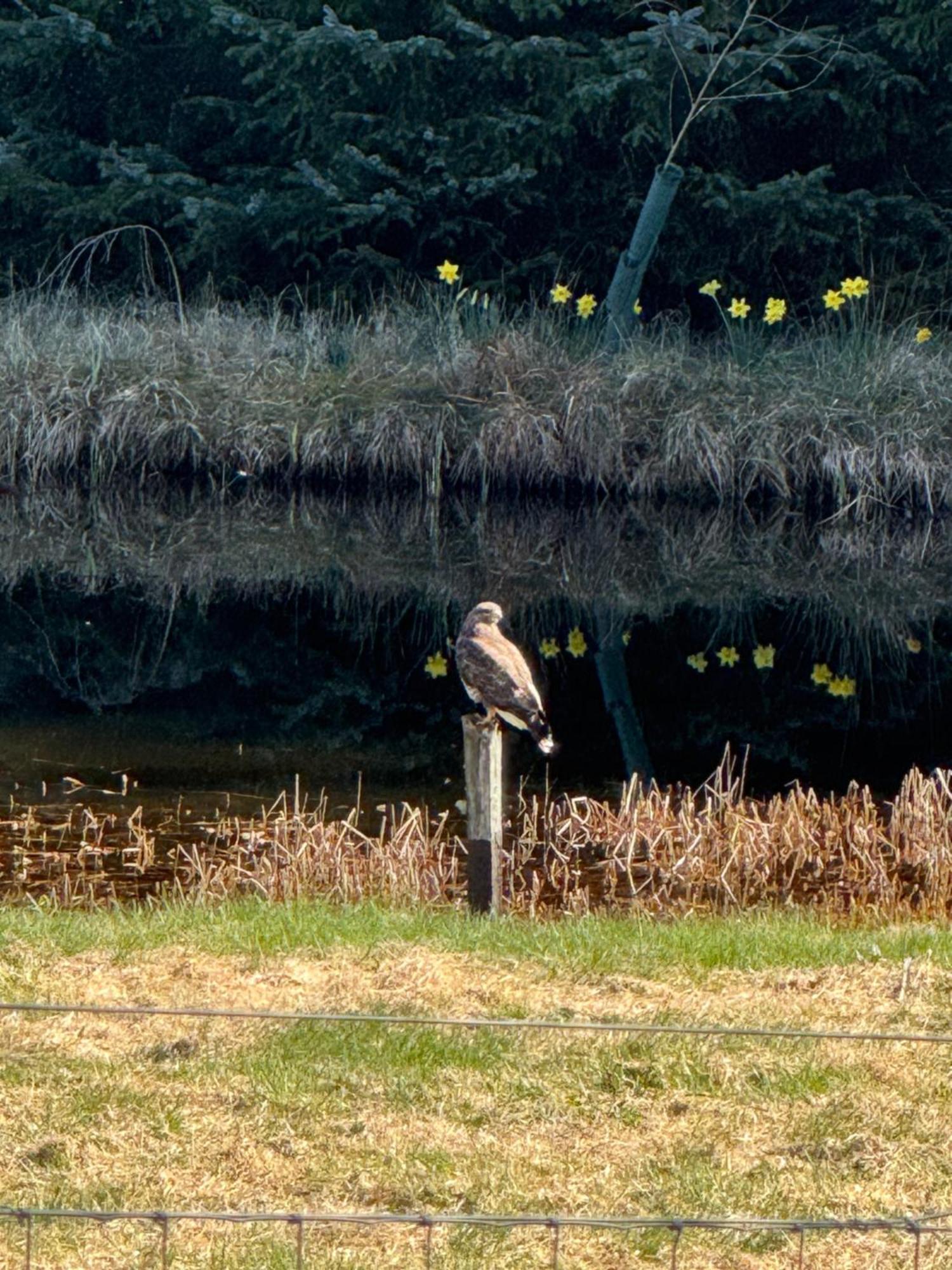 Willowbarn Rafford Self Catering Forres Esterno foto